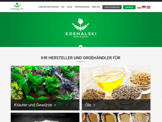 Responsive Beispiel für Erstellung einer professionellen Unternehmenswebseite